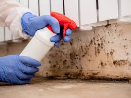 Best Mold Remediation for Healthcare Facilities  in Matamoras, PA